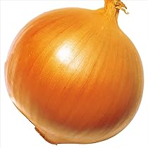 玉葱 種 野菜たね タマネギ （極早生）F1サラダ玉葱 1袋（3ml） 玉葱